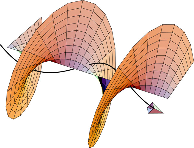 take a guess what this is!